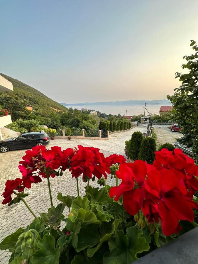 Villa Stefanoski Коньско Экстерьер фото