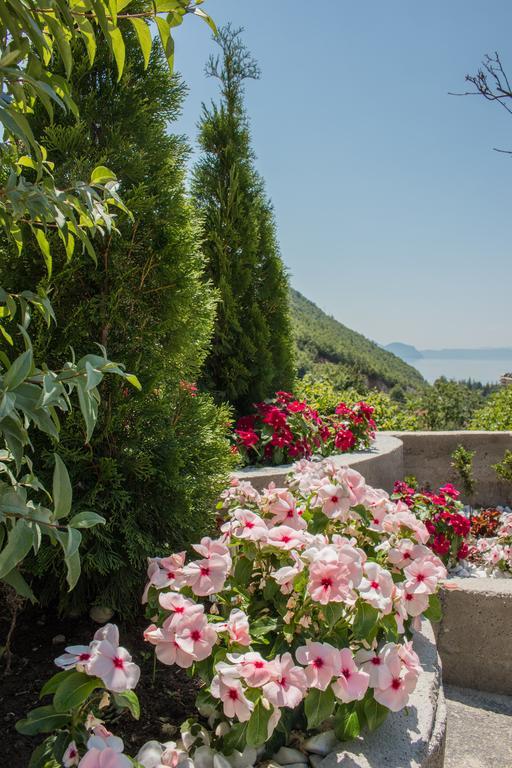Villa Stefanoski Коньско Экстерьер фото